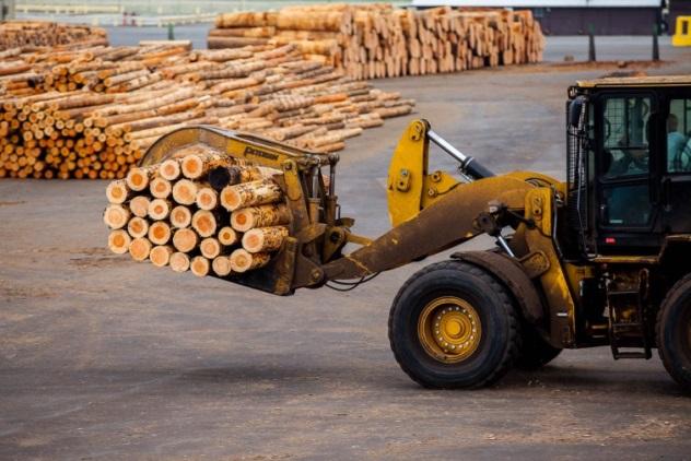 A loader carrying logs through a timber yard.